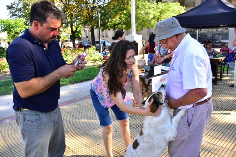 Cierre de campaña 2023 de vacunación antirrábica y desparasitación en perros y gatos