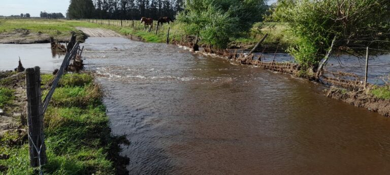 Suspenden el Coronación: Ayacucho sin rally