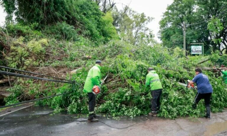 El temporal de lluvia y viento provocó destrozos y afectó a 48 distritos bonaerenses