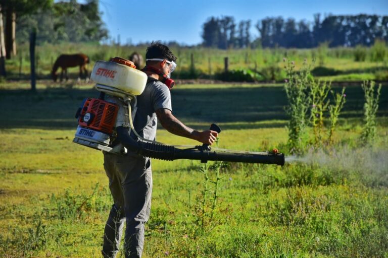 Operativos territoriales para mitigar el avance del mosquito transmisor