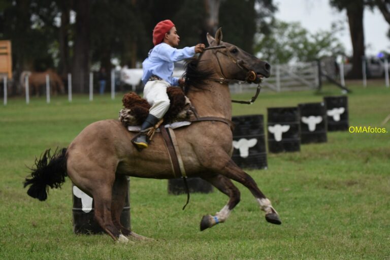 En la Chacra: Mañana sábado se concretará la prueba de riendas y galopeada