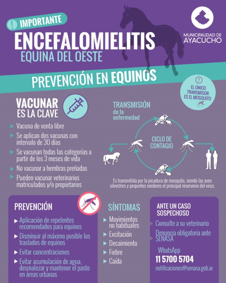 Información sobre Encefalomielitis equina