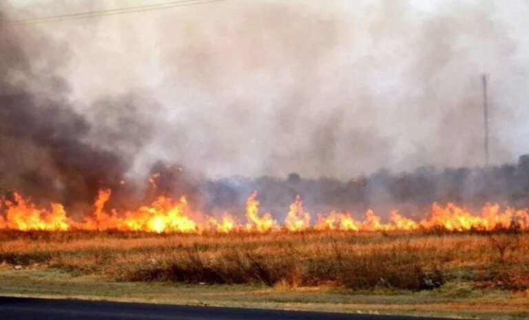 Bomberos acudieron a un incendio en la zona rural