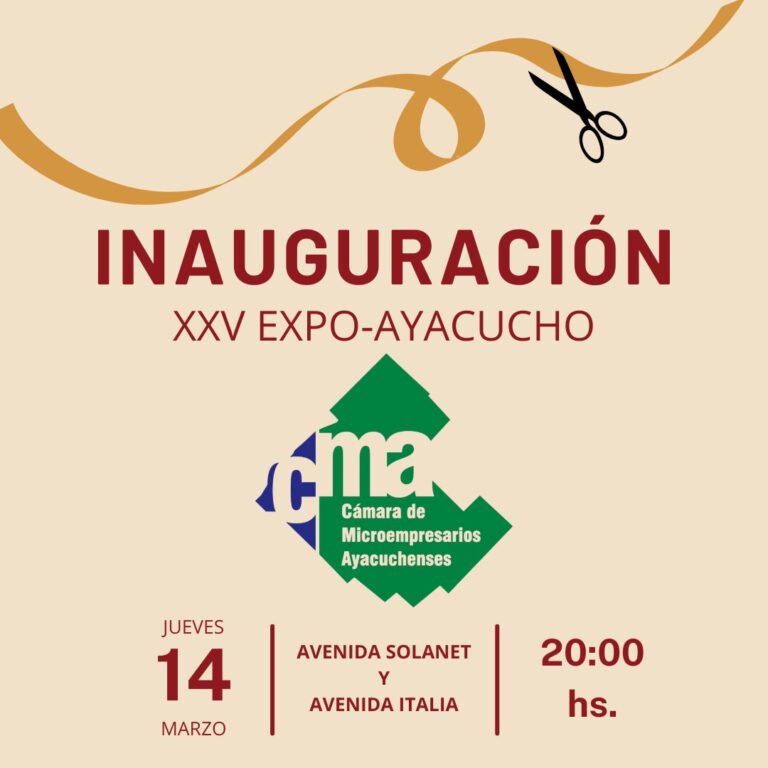 Cámara de Microempresarios: Intensa actividad en el predio de la feria vieja