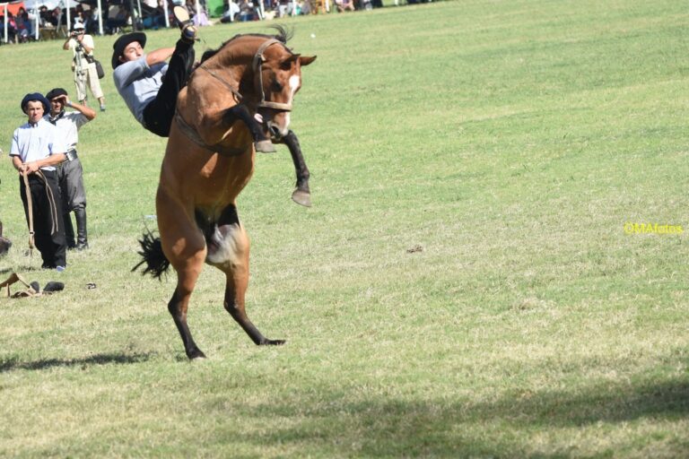 Volvió a brillar la chacra ante gran cantidad de público