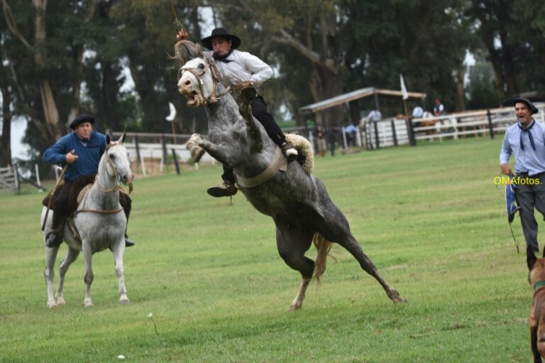 El programa de la 50 edición de la Fiesta Nacional del Ternero