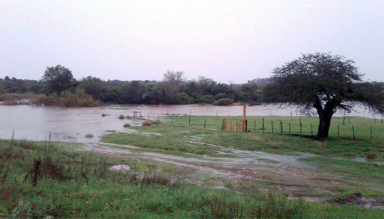 EDEA indica como proceder ante la emergencia del mal tiempo