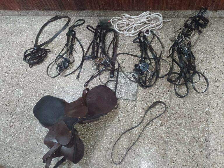 Parte de Policia Comunal:  Robo y hallazgo