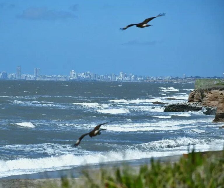 Calendario de eventos turísticos en la Provincia de Bs As