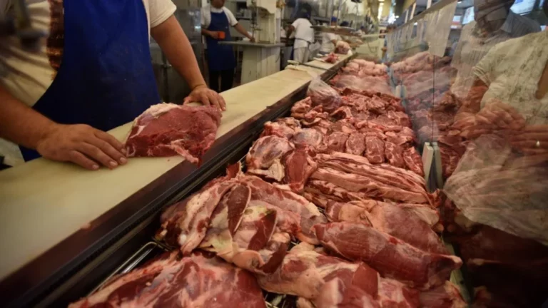 El consumo de carne vacuna se desplomó a niveles que no se veían hace 30 años