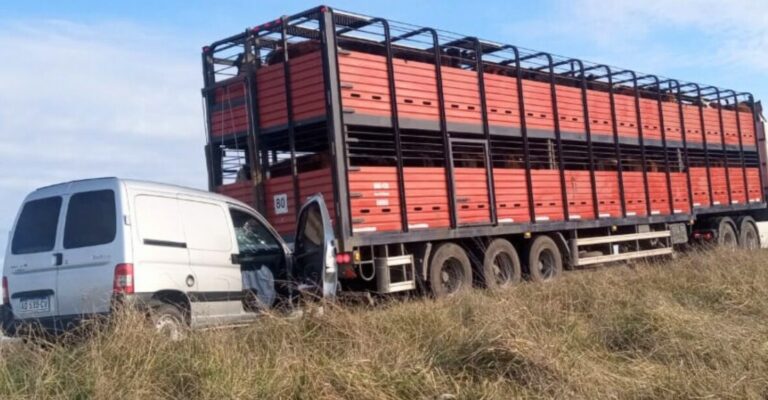 Accidente en ruta 74: un utilitario chocó contra un camión