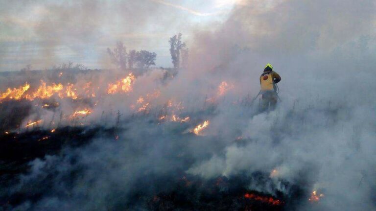Bomberos combate un incendio de banquinas
