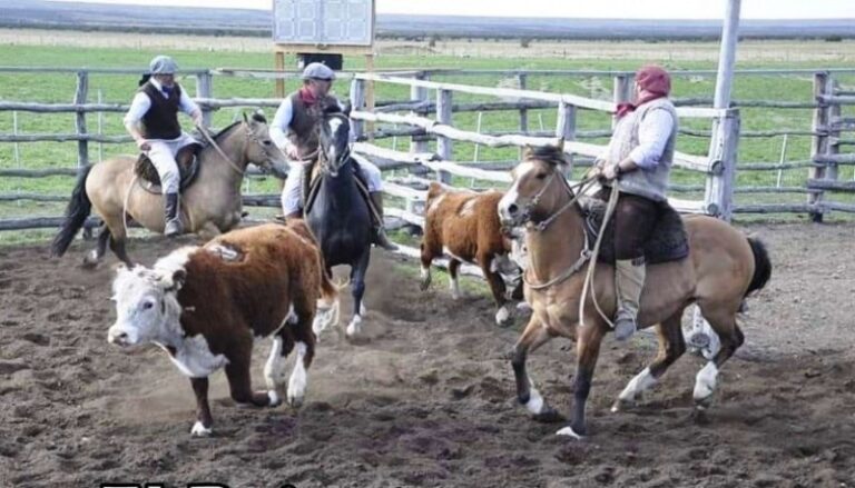 La 69º Expo Rural de Madariaga traerá la primera edición del Aparte Campero