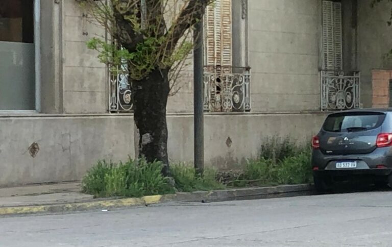 Pastos y cia: Se debe alertar a los frentistas