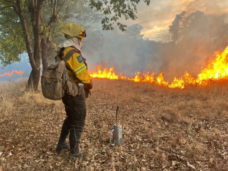 Protocolo de quemas: Para tener en cuenta