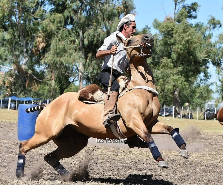 Este fin de semana se realiza la 48° edición de la Fiesta de la Vieja Estancia