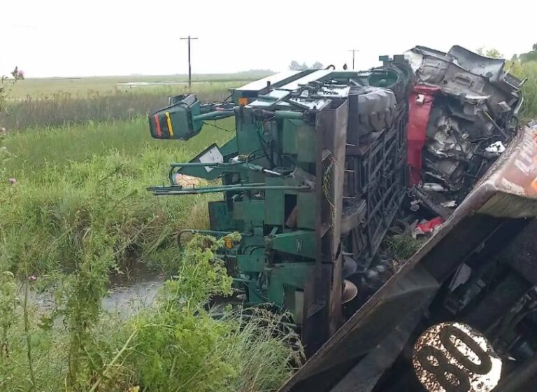 El ladrón que le robó a un camionero en un accidente, devolvió el dinero luego de ser identificado