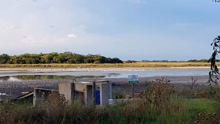 Un hecho que se repite: Se seca la laguna Los Horcones en Madariaga