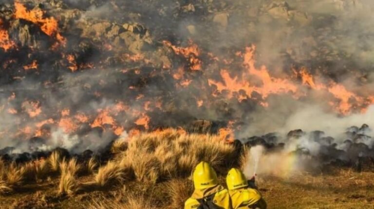 Un incendio de pastizales amenazó un tendido eléctrico y el humo generó poca visibilidad