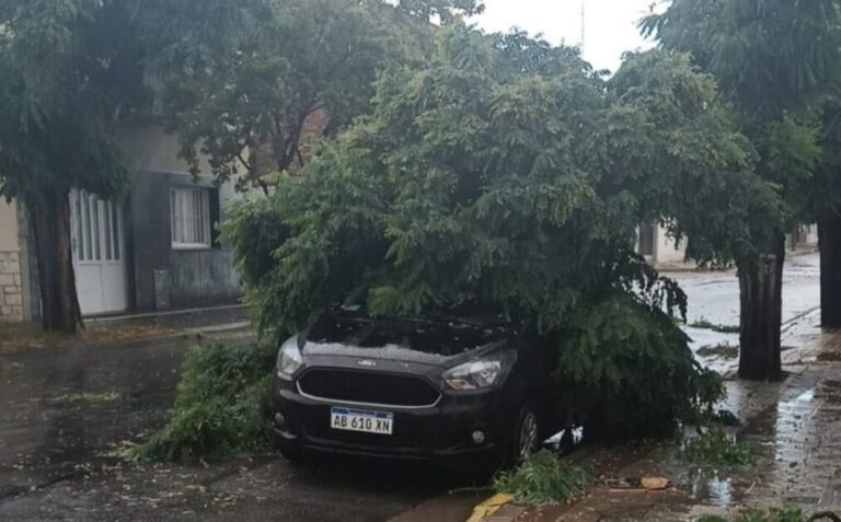 En Tandil, el temporal causa daños en distintos puntos de la ciudad