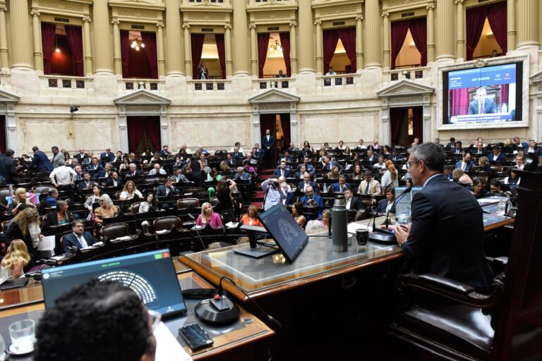 Diputados dio media sanción a la suspensión de las PASO