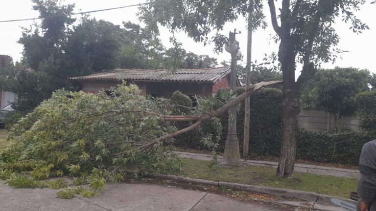 Intervenciones tras el temporal