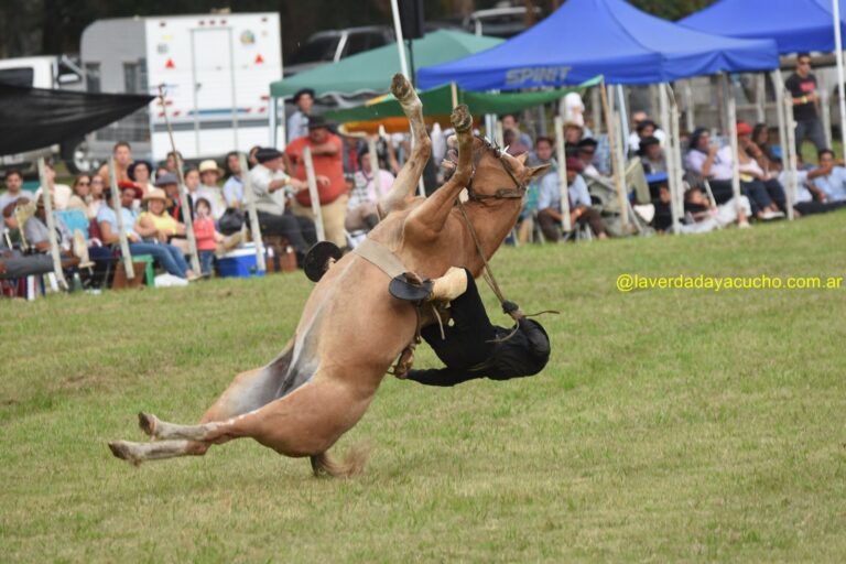 Imágenes: El domingo brilló la chacra