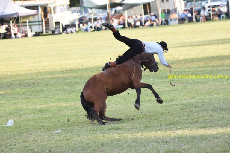 La fiesta en la chacra: La monta especial de Juan Vasquez en imágenes