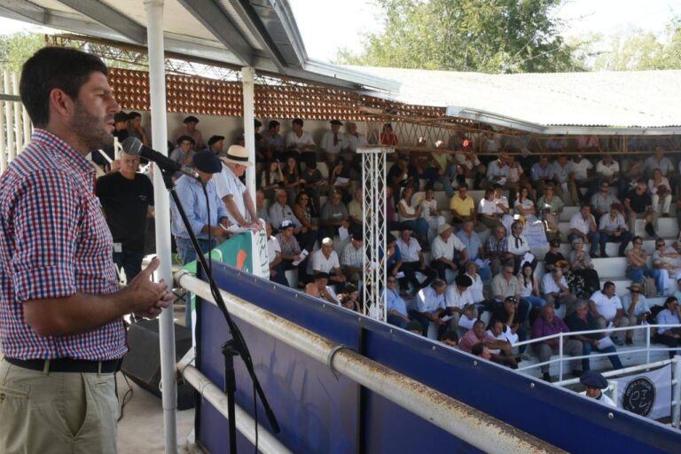 𝗘𝗫𝗣𝗢𝗦𝗜𝗖𝗜𝗢́𝗡 𝗬 𝗥𝗘𝗠𝗔𝗧𝗘 𝗗𝗘 𝗧𝗘𝗥𝗡𝗘𝗥𝗢𝗦 𝗘𝗡 𝗔𝗗𝗛𝗘𝗦𝗜𝗢́𝗡 𝗔 𝗟𝗔 𝗙𝗜𝗘𝗦𝗧𝗔