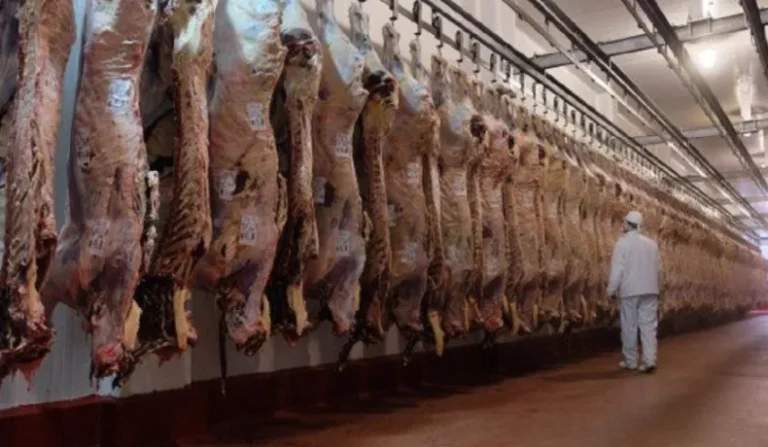 En un frigorífico en Azul: despiden a 40 trabajadores pero temen que sean más