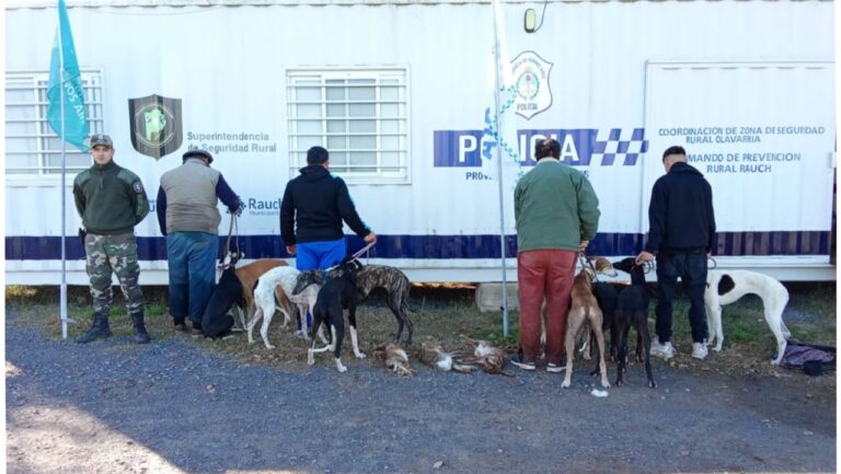 Infraccionaron a cuatro galgueros platenses por caza furtiva en Rauch