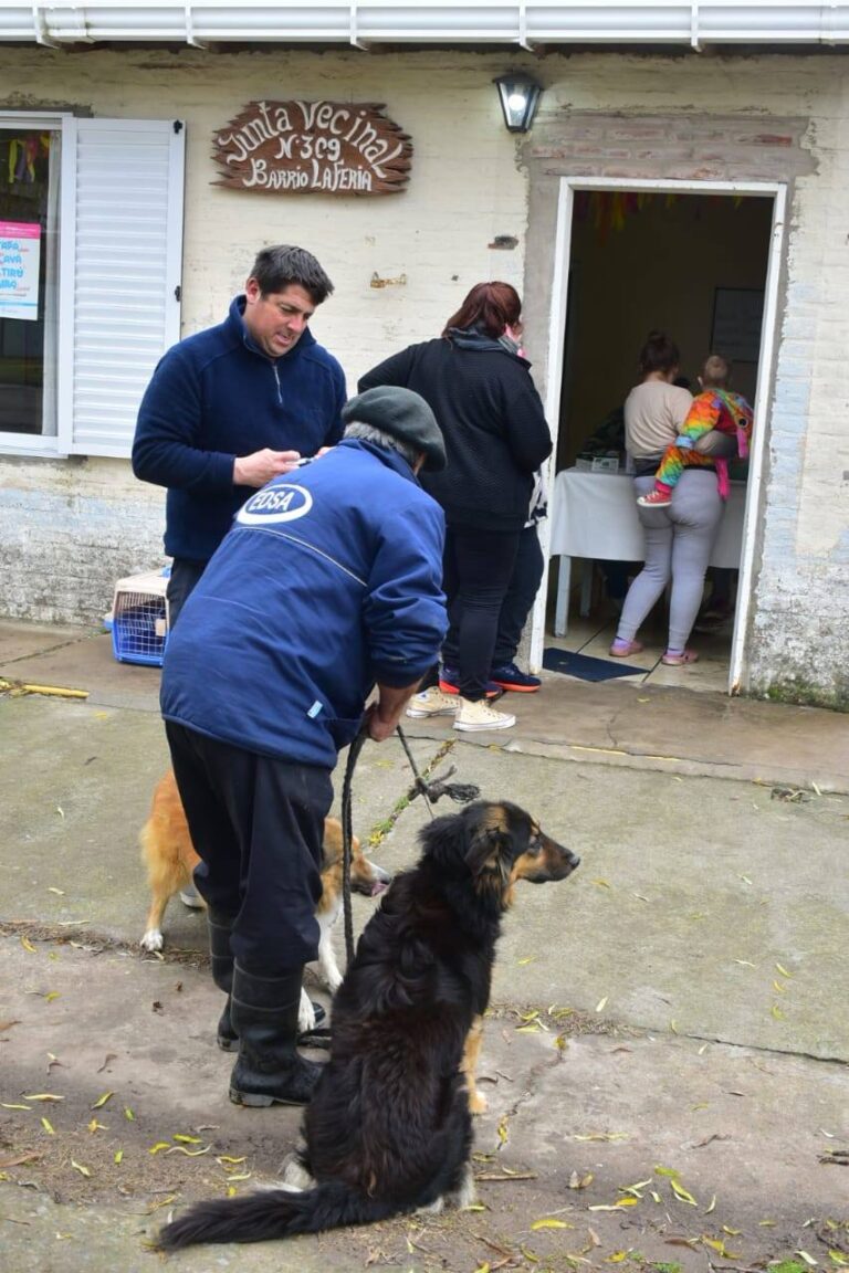 Trabajos de vacunación y desparasitación en barrio La Feria