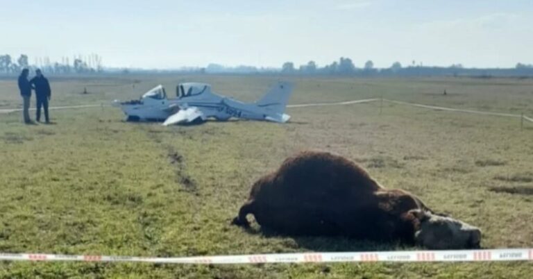 Un avión chocó contra un toro cuando despegaba