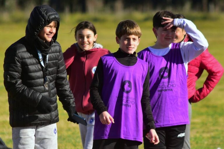 Cronograma final de la Etapa Municipal