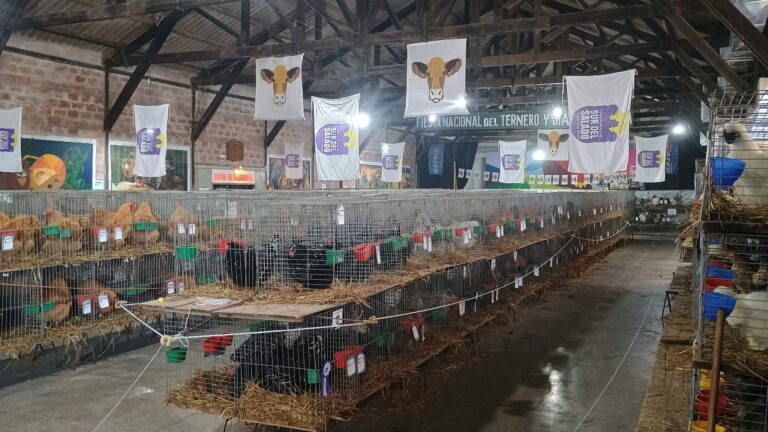 Apertura al público de la Expo Nacional de Aves de Raza