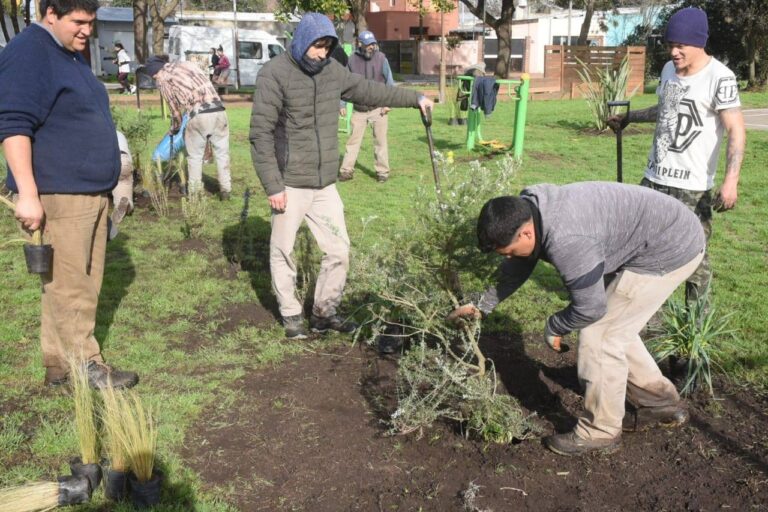 Forestación en espacios públicos