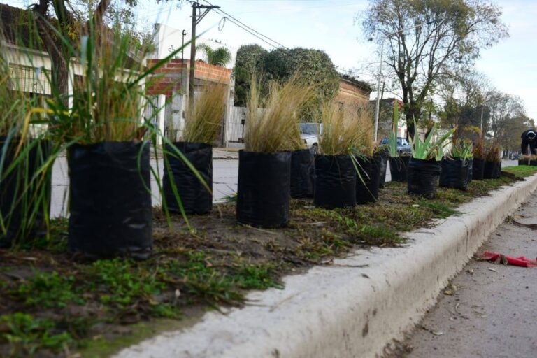 Ambiente-Ayacucho, uno de los municipios mejor evaluados