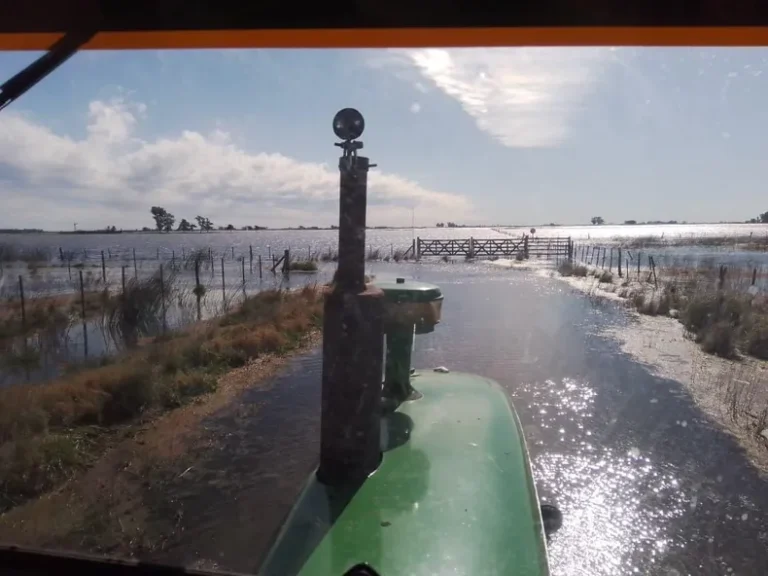 Ya hay dos millones de hectáreas afectadas por las inundaciones en la provincia: «sumamente crítico»