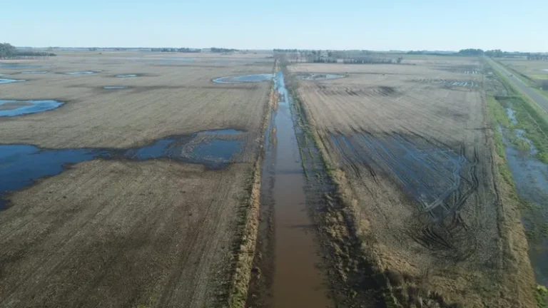 Nación homologó la emergencia agropecuaria en 12 distritos bonaerenses