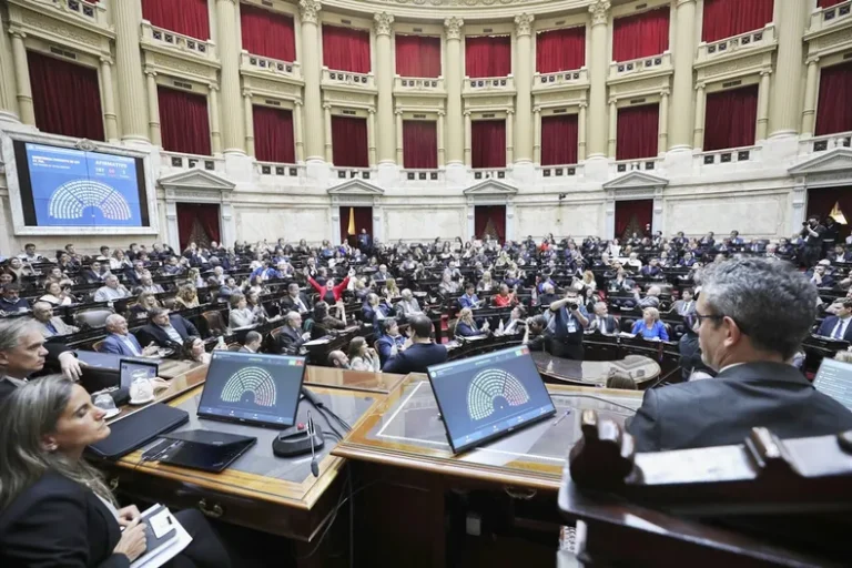 Diputados rechazó el veto del Ejecutivo a las leyes de financiamiento en pediatría y universitario