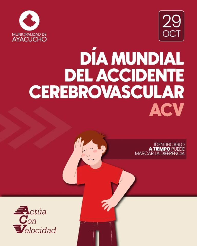 29 de octubre: Dia Mundial del Accidente Cerebrovascular (𝗔𝗖𝗩)
