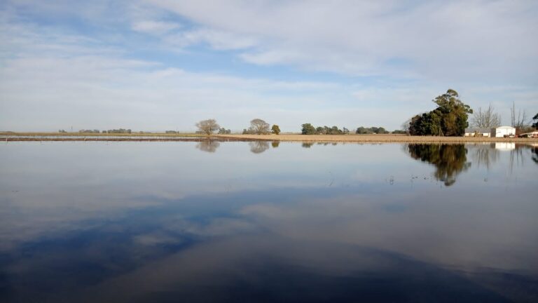 Entre Balcarce y Tandil, lluvias y desborde de un arroyo que cortó la ruta 226