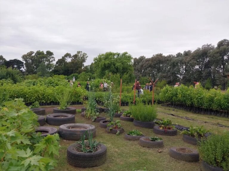 Integrantes del Centro de Día visitaron el Complejo Productivo