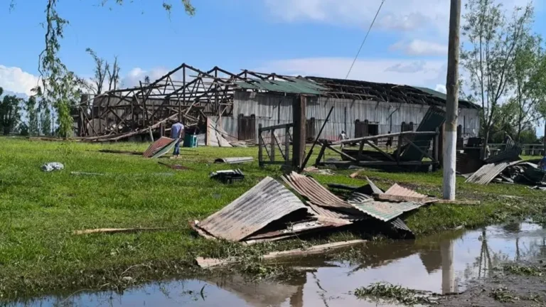 Urdampilleta, el día después del temporal: techos volados y calles anegadas