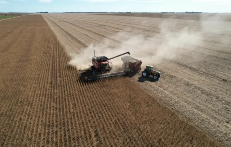 ARBA prorrogó los vencimientos para pagar el Inmobiliario Rural hasta diciembre