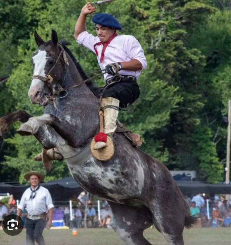 Festival de Doma y Folklore: Aron Tort sigue brillando en Jesús María