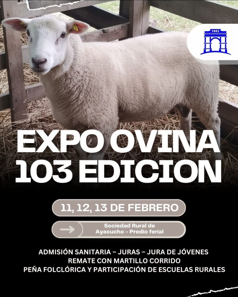 La Sociedad Rural de Ayacucho confirmó la 103ª Exposición de Reproductores Ovinos