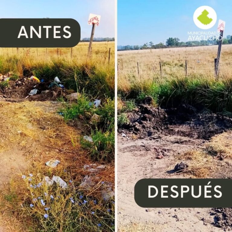 𝗟𝗜𝗠𝗣𝗜𝗘𝗭𝗔 𝗬 𝗘𝗥𝗥𝗔𝗗𝗜𝗖𝗔𝗖𝗜𝗢́𝗡 𝗗𝗘 𝗠𝗜𝗖𝗥𝗢𝗕𝗔𝗦𝗨𝗥𝗔𝗟𝗘𝗦