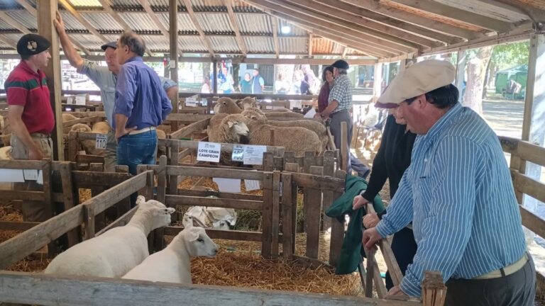103ª Exposición de Reproductores Ovinos en Ayacucho