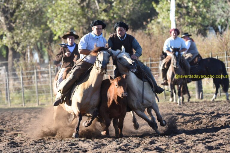 Se realiza la Expo de Criollos en Ayacucho: Programa de actividades